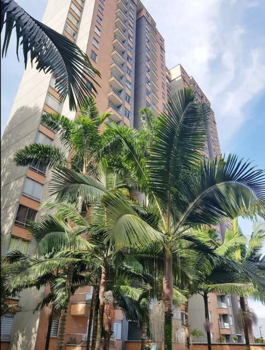 Beautiful Renovated Apart 23rd Floor - View - Apartamento de 2 dormitorios - 19