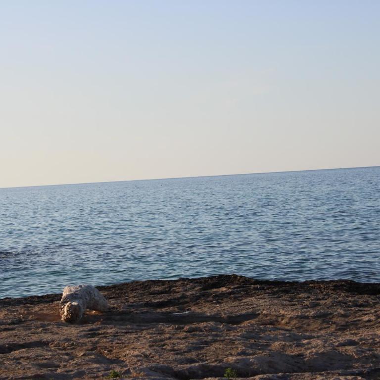 Villa Serenity Beach -8 posti 50 mt dal mare Capitolo - Villa - Beach Front - 47