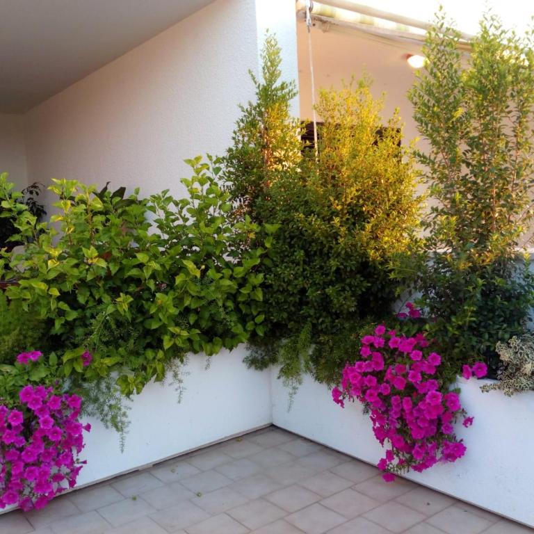 Villa Serenity Beach -8 posti 50 mt dal mare Capitolo - Villa - Beach Front - 44
