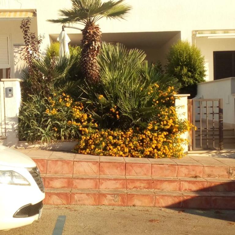 Villa Serenity Beach -8 posti 50 mt dal mare Capitolo - Villa - Beach Front - 43