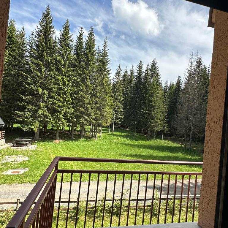 Stojovic house - Three-Bedroom House - 26