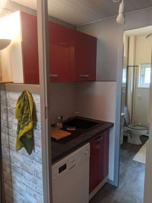 La Mongie - T2 4 à 6 personnes, 45m2 face aux pistes - Two-Bedroom Apartment - 14