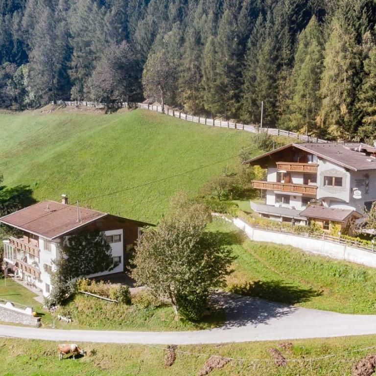 Pension Riese - Apartment mit 1 Schlafzimmer, Balkon und Bergblick - 19