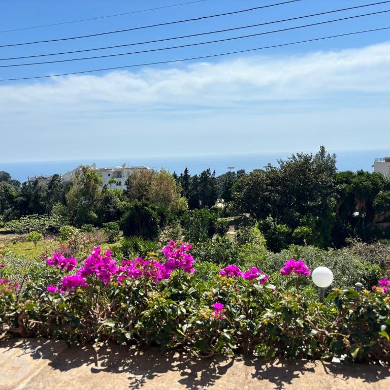 LUXURY HOUSE "VILLA POMPEIANA" Via CAMERELLE CON TERRAZZA VISTA MARE - Appartamento con 2 Camere da Letto e Vista Mare - 56