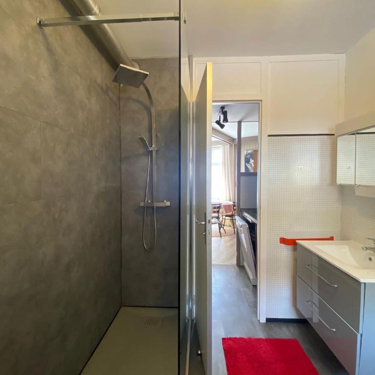 La Mongie - T2 4 à 6 personnes, 45m2 face aux pistes - Two-Bedroom Apartment - 3