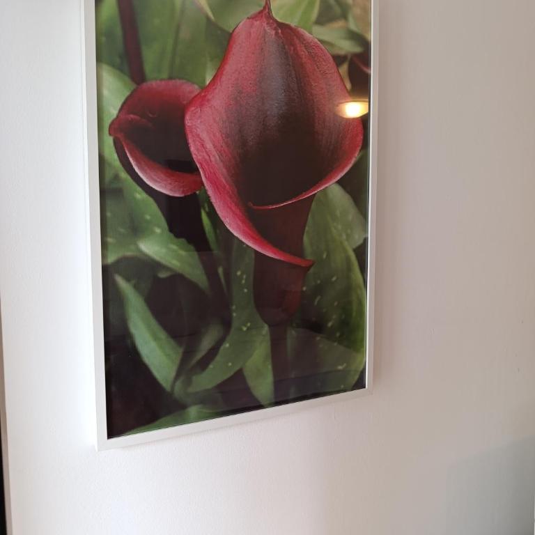 Kala - Apartman sa 1 Spavaćom Sobom - 6