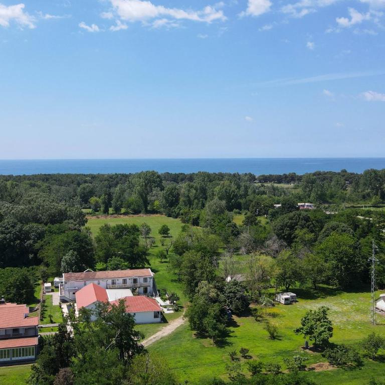 Tomi Guesthouse - One-Bedroom Apartment - 4