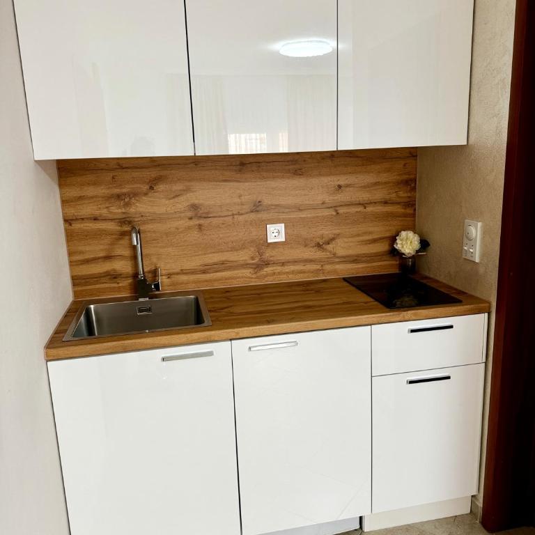 Lajla Apartments - Studio sa Balkonom - 4