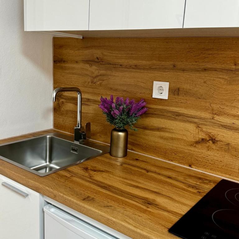 Lajla Apartments - Studio sa Balkonom - 2