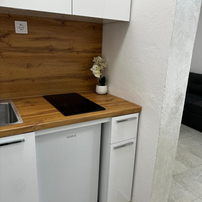 Lajla Apartments - Studio sa Balkonom - 1