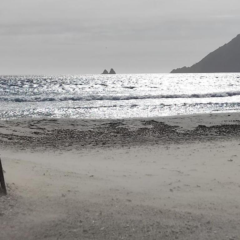 L'effet MER - Plage - Sablettes - Apartment mit 1 Schlafzimmer - 26