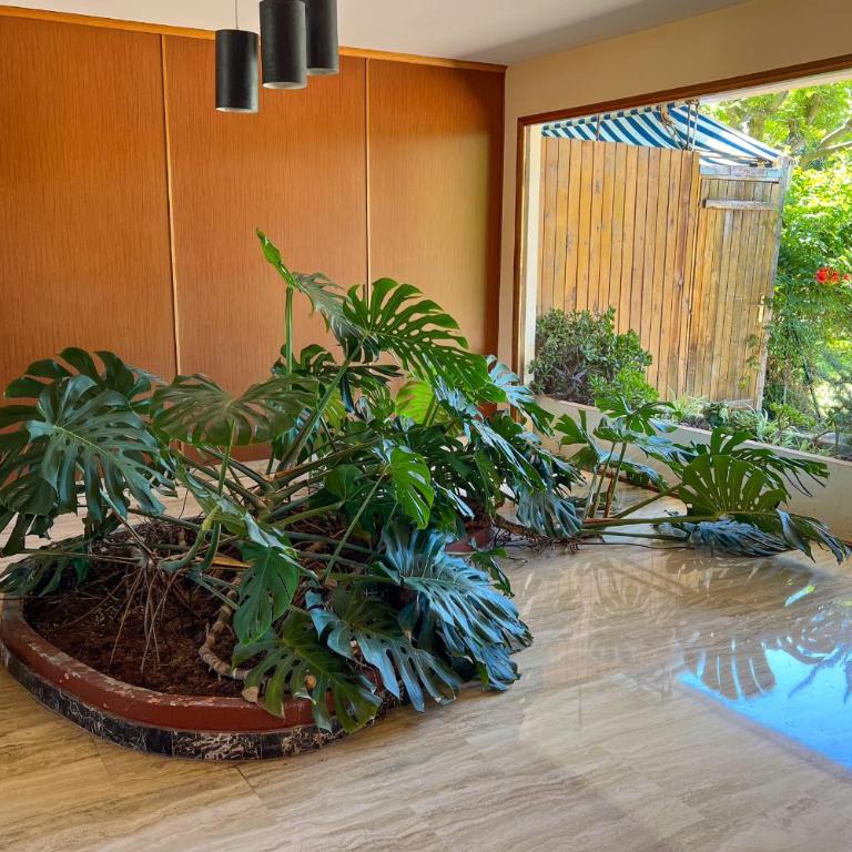 LA ROSERAIE for 6 By Sunset Riviera Holidays - Apartamento - 67