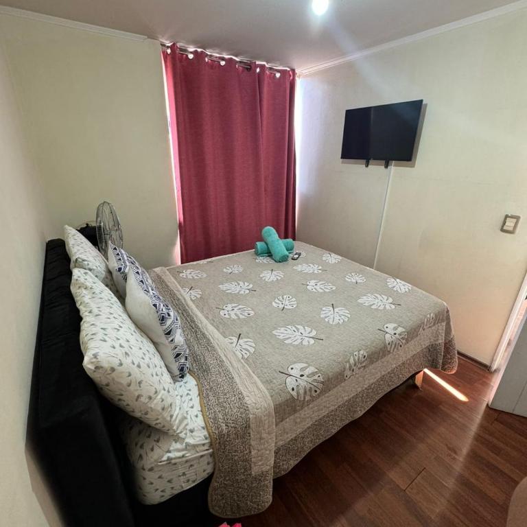 Apartamentos Orquídea Suite - Apartamento de 1 dormitorio - 22