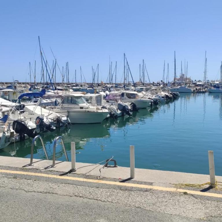 Apartamento en Puerto Marina G204 - Apartamento Estándar - 39