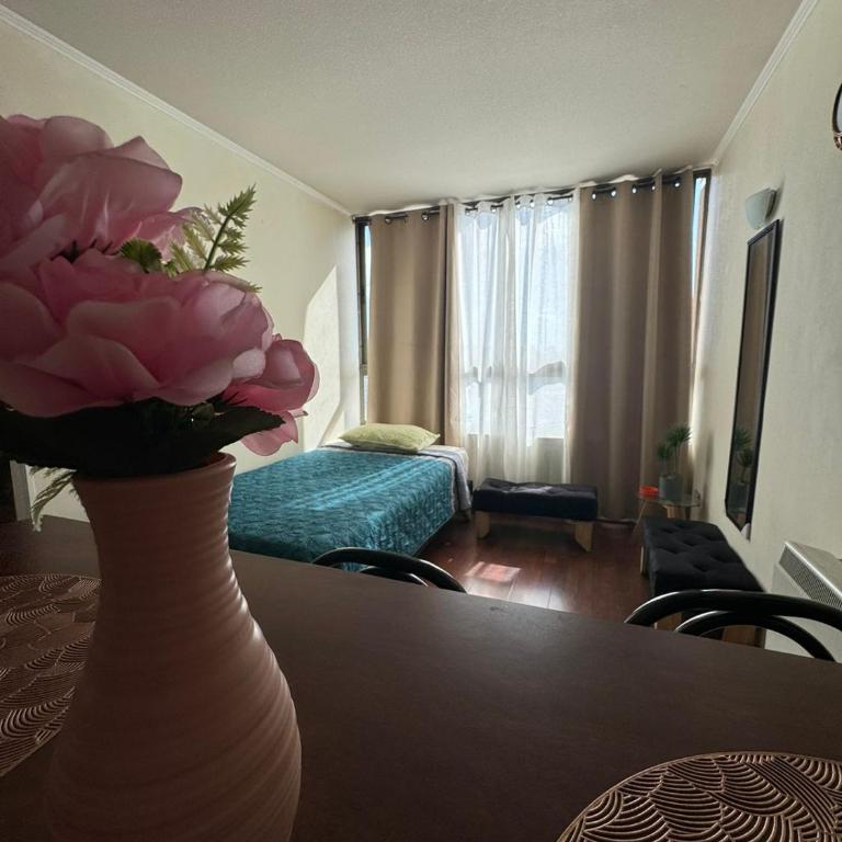 Apartamentos Orquídea Suite - Apartamento de 1 dormitorio - 21