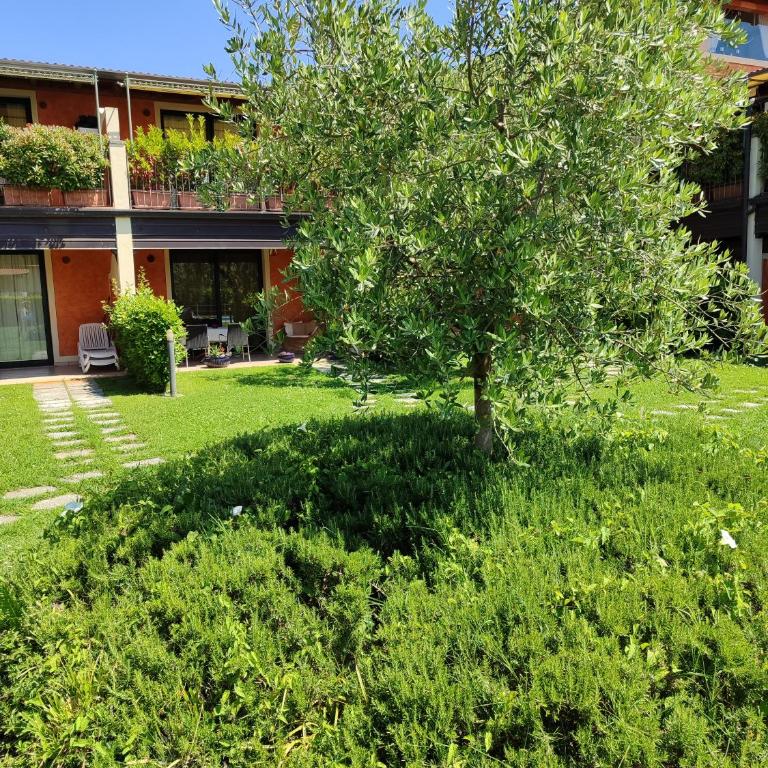 Casa degli Ulivi - One-Bedroom Apartment - 4