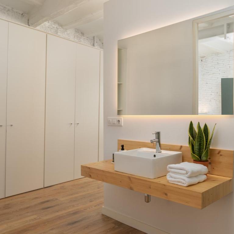 Flateli Sant Agustí - Apartamento de 2 dormitorios con vistas al río - 14