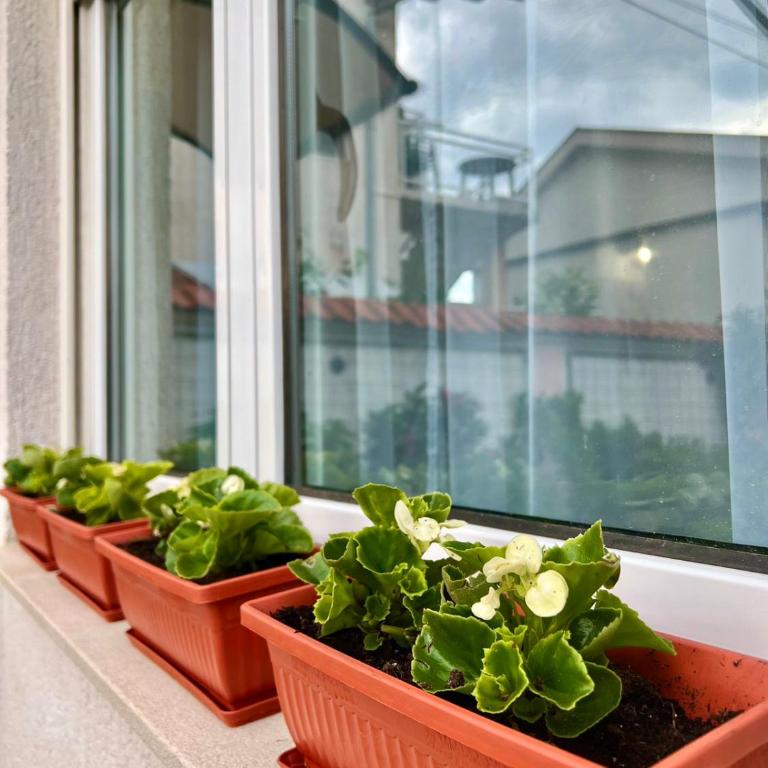 Amora Apartments - FREE parking - Deluxe One-Bedroom Apartment - 19