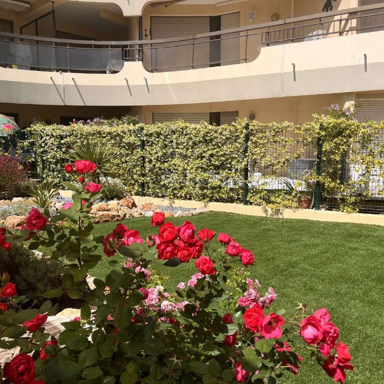 Appartement 2 pièces avec terrasse près de la plage - FR-1-226A-344 - Appartamento (4 Adulti) - 12