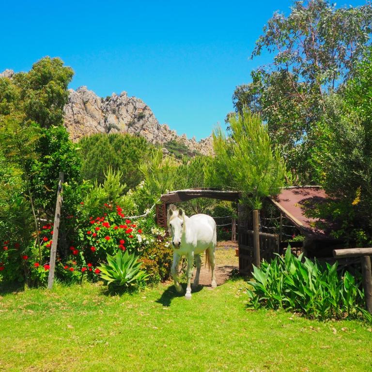 Tarifa Apartement Horses and Nature - Apartamento de 2 dormitorios - 79