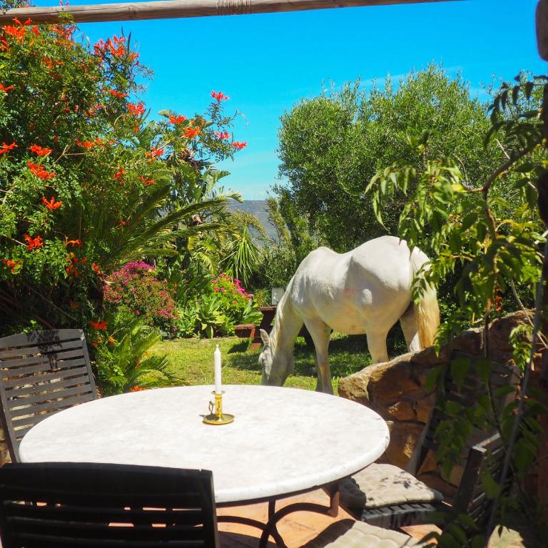 Tarifa Apartement Horses and Nature - Apartamento de 2 dormitorios - 86