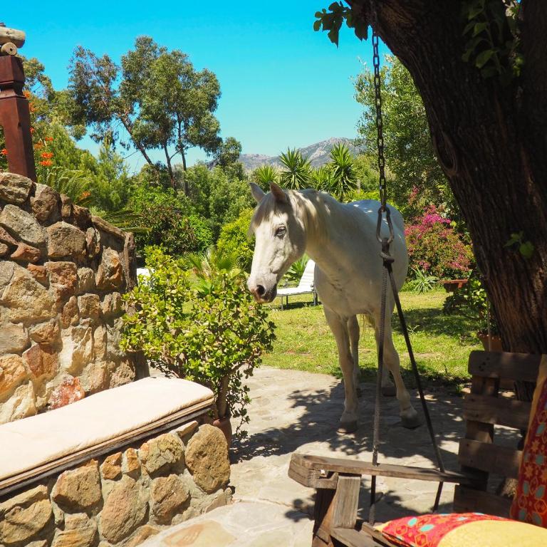 Tarifa Apartement Horses and Nature - Apartamento de 2 dormitorios - 84