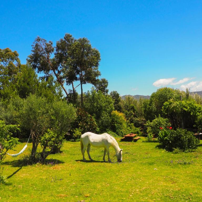 Tarifa Apartement Horses and Nature - Apartamento de 2 dormitorios - 88