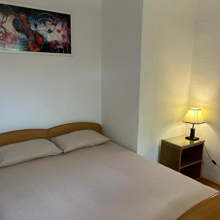 Apartments Jankovic - One-Bedroom Apartment with Patio (4 Adults) - 9