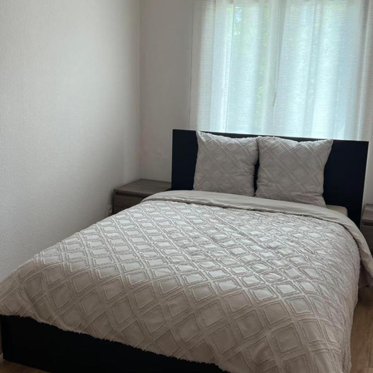 Superbe Appartement tout équipé, Coins cosy à Metz gare, 50M2, Parking privé, Balcon, 2p - Appartement 1 Chambre - 2