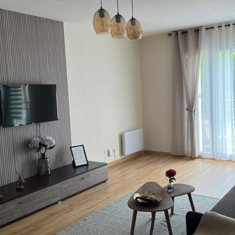 Superbe Appartement tout équipé, Coins cosy à Metz gare, 50M2, Parking privé, Balcon, 2p - Appartement 1 Chambre - 1