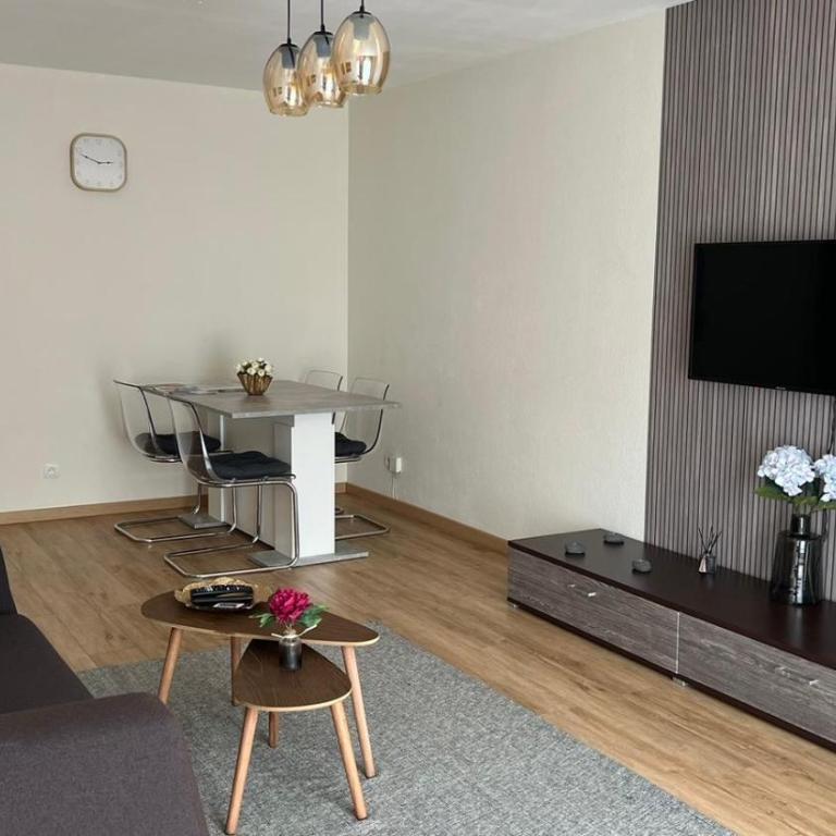 Superbe Appartement tout équipé, Coins cosy à Metz gare, 50M2, Parking privé, Balcon, 2p - Appartement 1 Chambre - 3