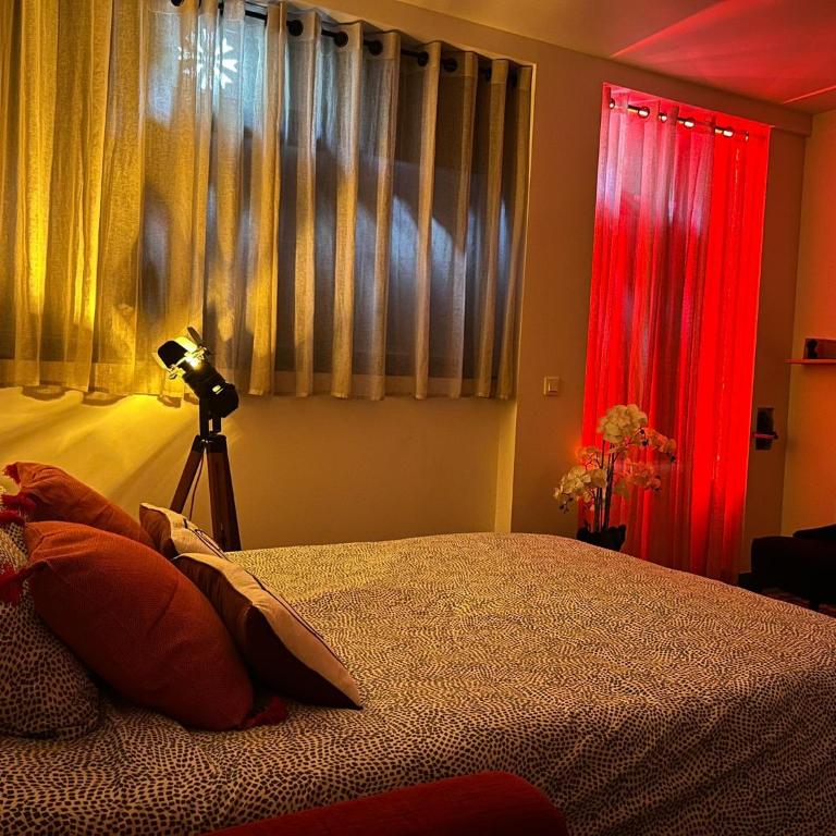 Love room in Paris - Appartement 1 Chambre - 23