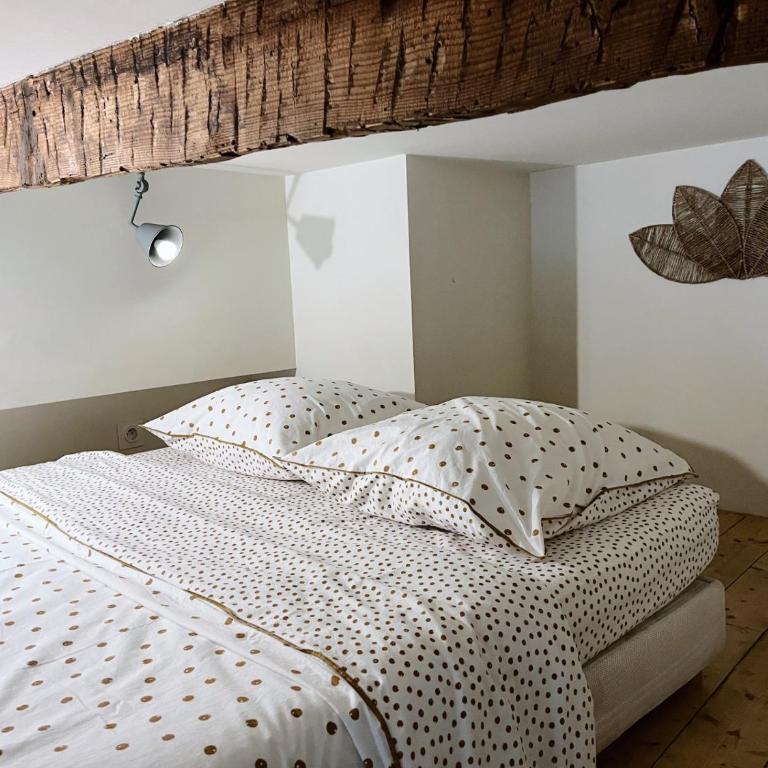 Casa - Appartement - Rez-de-Chaussée - 15