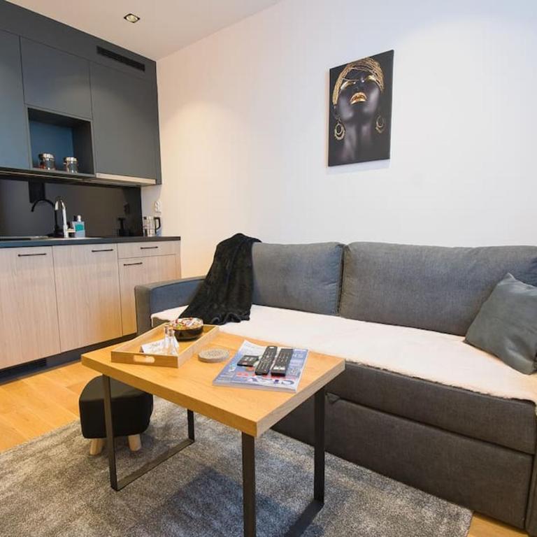 Studio apartment 306 - One-Bedroom Apartment - 1