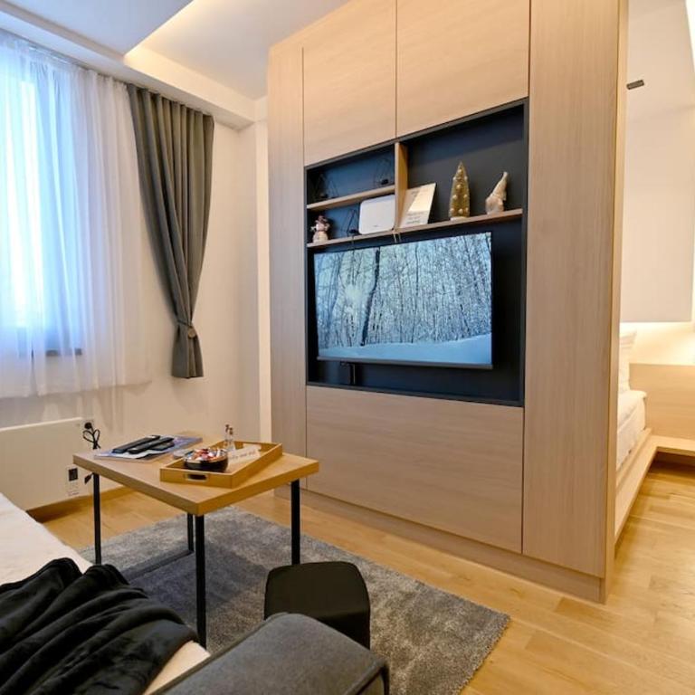 Studio apartment 306 - One-Bedroom Apartment - 9