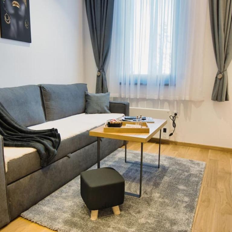 Studio apartment 306 - One-Bedroom Apartment - 11