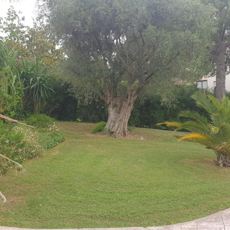Magnifique appartement - Appartamento con 1 Camera da Letto, Vista Mare e Terrazza - 14
