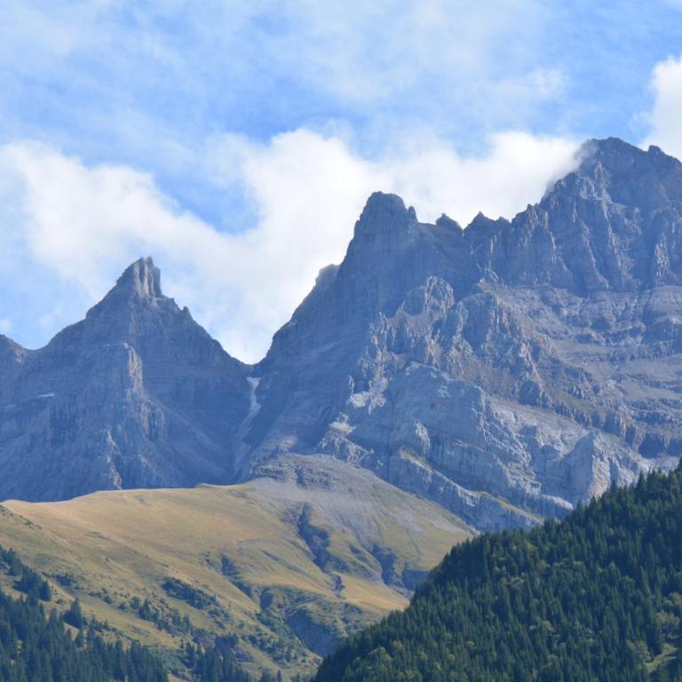 Apartment Champéry Grand Pré A - Appartement avec Balcon - 48