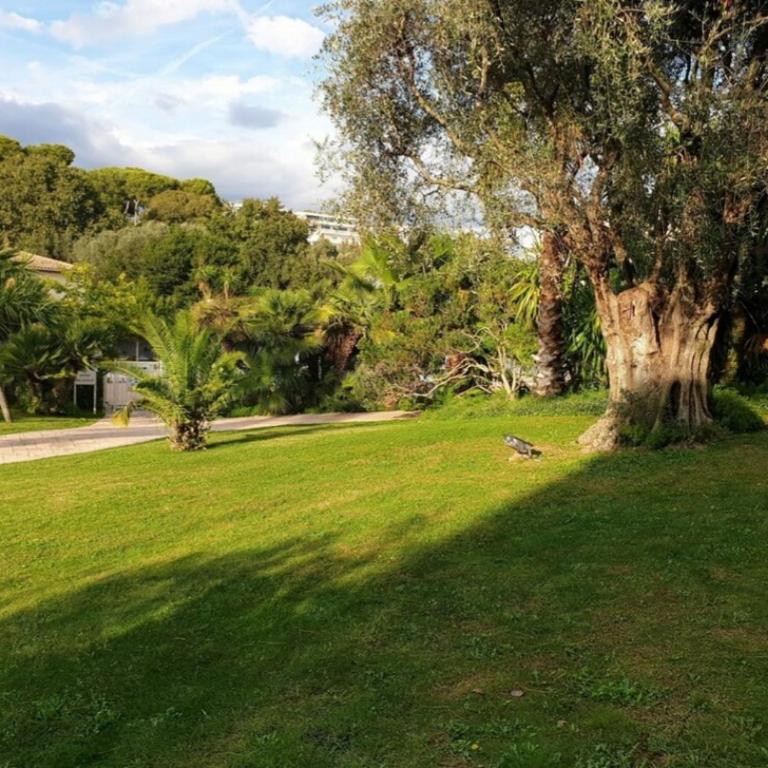 Magnifique appartement - Appartamento con 1 Camera da Letto, Vista Mare e Terrazza - 25