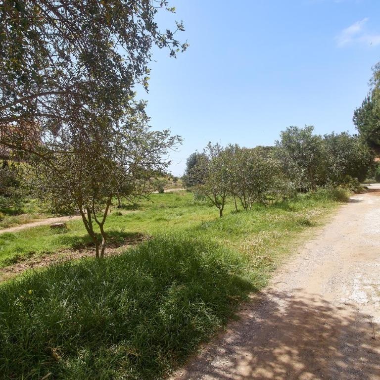 Apartamento con encanto - Apartamento de 2 dormitorios - 34