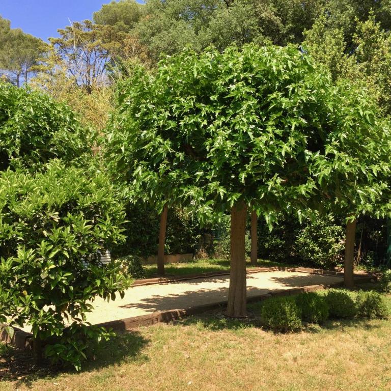 Villa Pokade climatisée de 235 m2 piscine sans vis à vis grand jardin totalement clos - Villa - 34