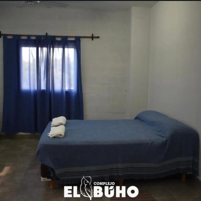 Complejo el Buho 1 - Apartamento de 1 dormitorio - 1