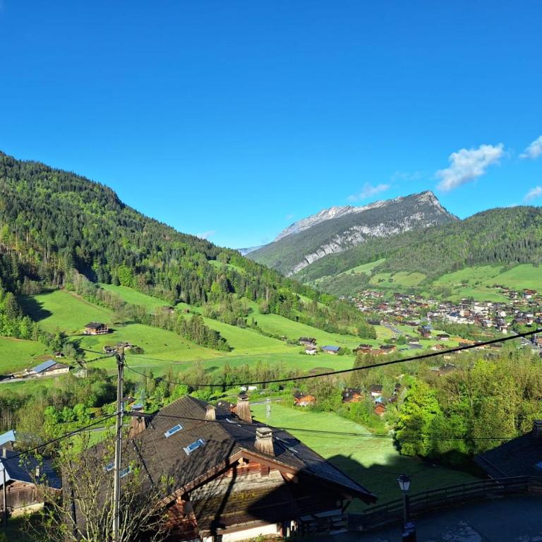 La Loulettaz - Appartement 1 Chambre avec Balcon et Vue sur les Montagnes - 9