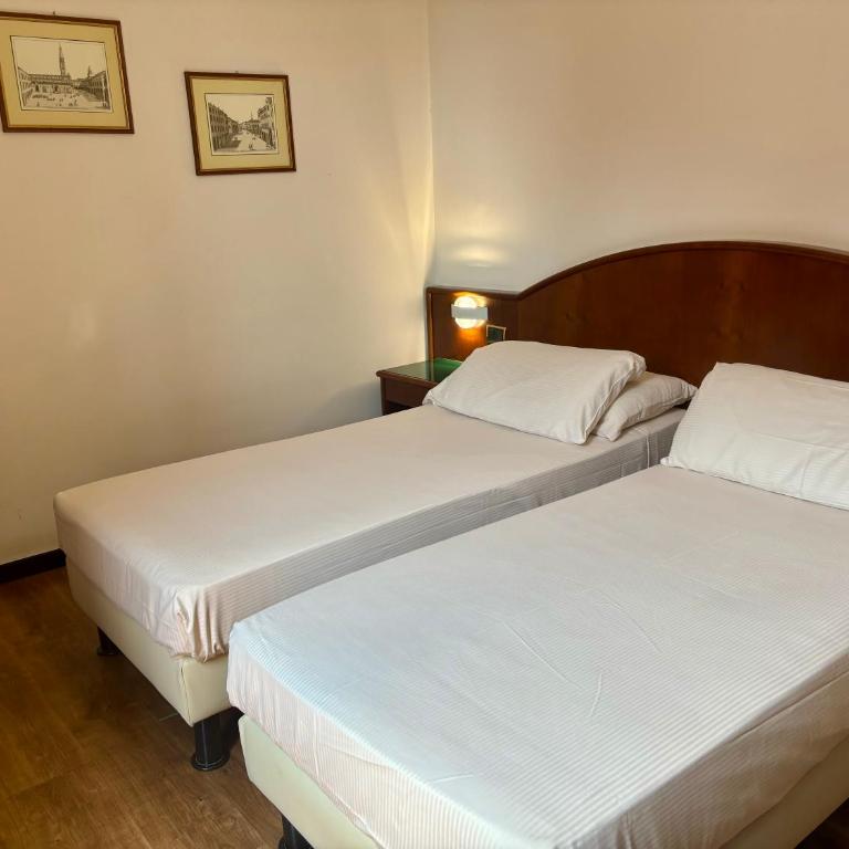Hotel Daunia - Camera Doppia con Letti Singoli - 1