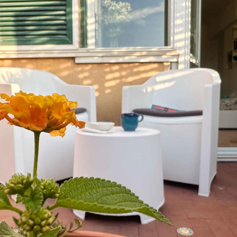 Lovely Panoramic Studio - Appartamento con 1 Camera da Letto - 29