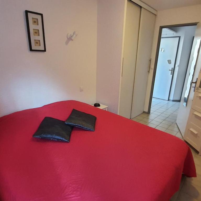 Joli T2 climatisé 70 dans un écrin de verdure 04000 - Maison 1 Chambre - 6