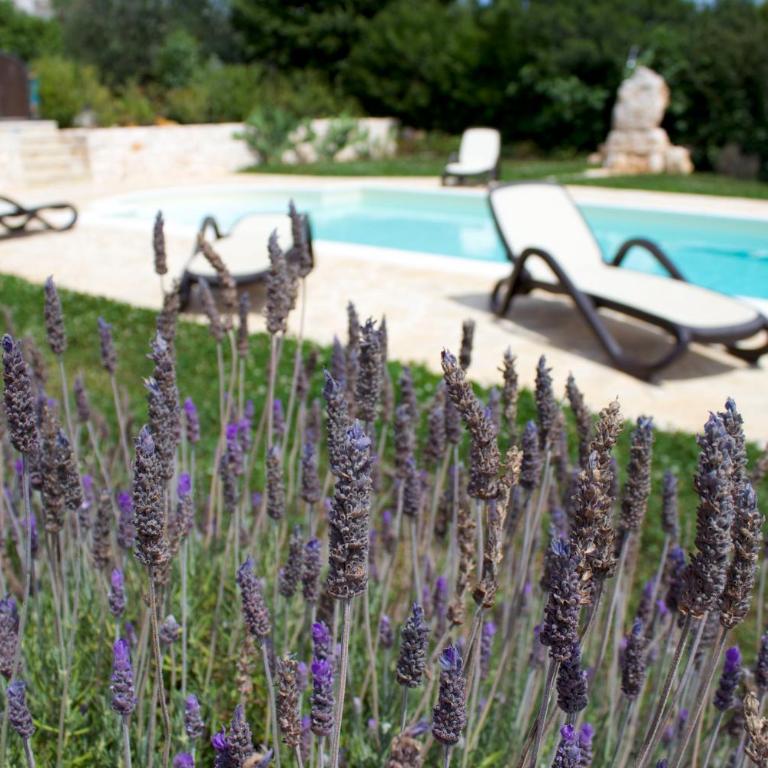 Antica Aia B&B - Trullo con Angolo Cottura - 3