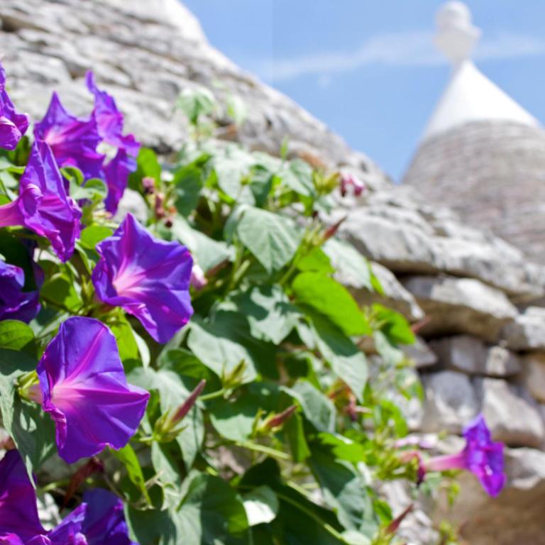 Antica Aia B&B - Trullo (3 Adulti) - 7