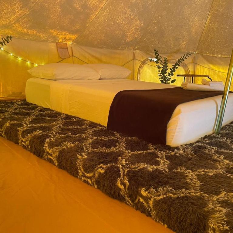 Cozumel Glamping - Tienda - 35