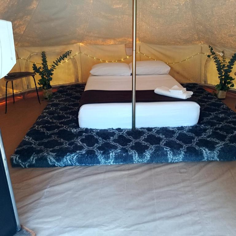 Cozumel Glamping - Tienda - 38
